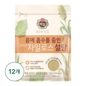 [CJ] [G] 백설 브라운 자일로스설탕 1kg X 12개