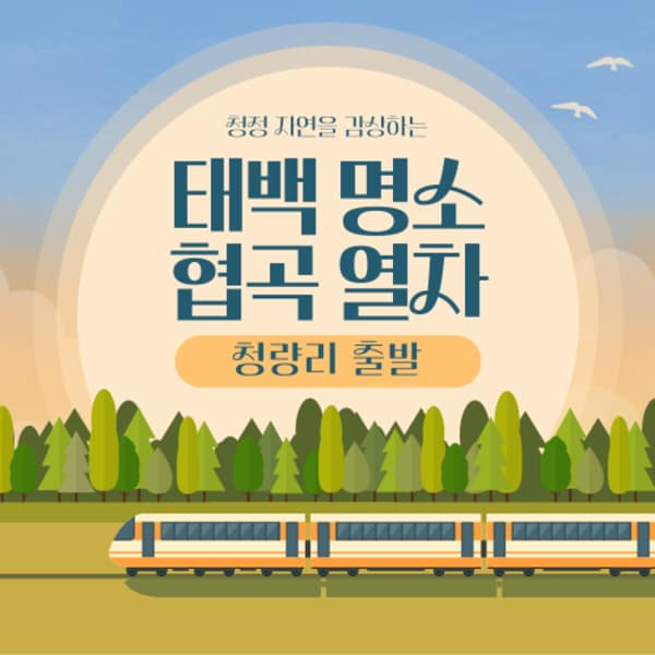 확대된 대표 036_ECJxDLU.png