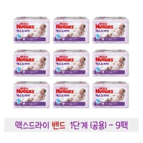 하기스 맥스드라이 밴드 1단계 (공용) 62매 9팩