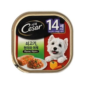 시저캔 14세이상 시니어 1캔 100g 쇠고기 현미와 야채