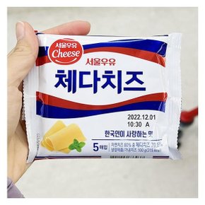 서울우유 체다치즈 100g x 2개 코스트코