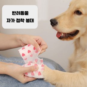 강아지 코반 발 붕대 일회용 신발 손가락 탄력 테이프 산책 양말 의료용 동물 병원 용품 AA0091