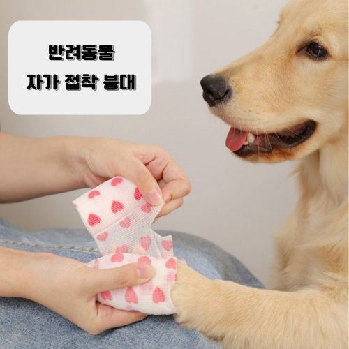 상품 이미지 1