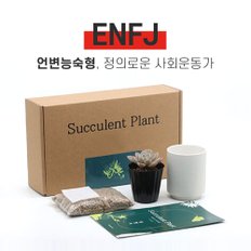 나만의 MBTI 미니 다육이 키우기 키트 ENFJ