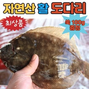 / 자연산 활 도다리 800g (쑥 100g증정)