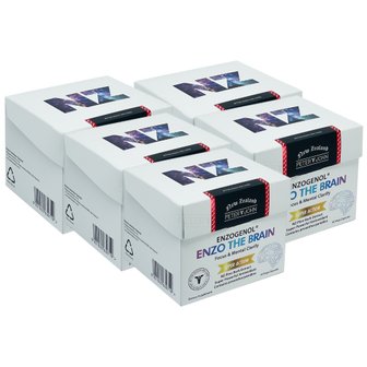  피터앤존 엔조브레인 60캡슐 5개