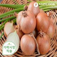 팸쿡 가락시장직송 양파 10kg