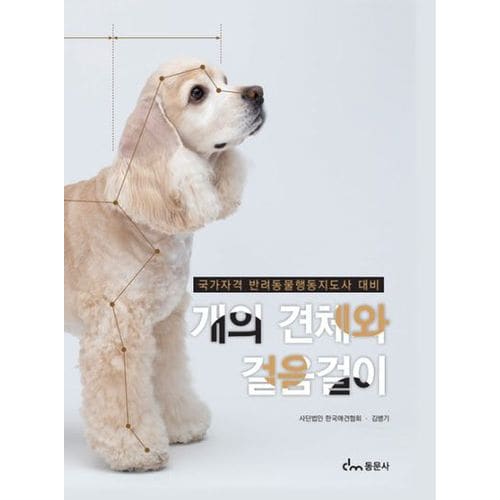 개의 견체와 걸음걸이