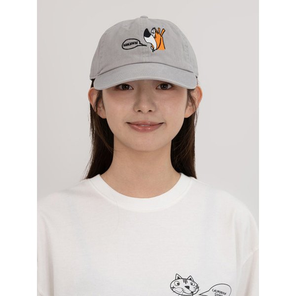 CALIFORNIA STORE LIMITED COLLAB CAP (GRAY)