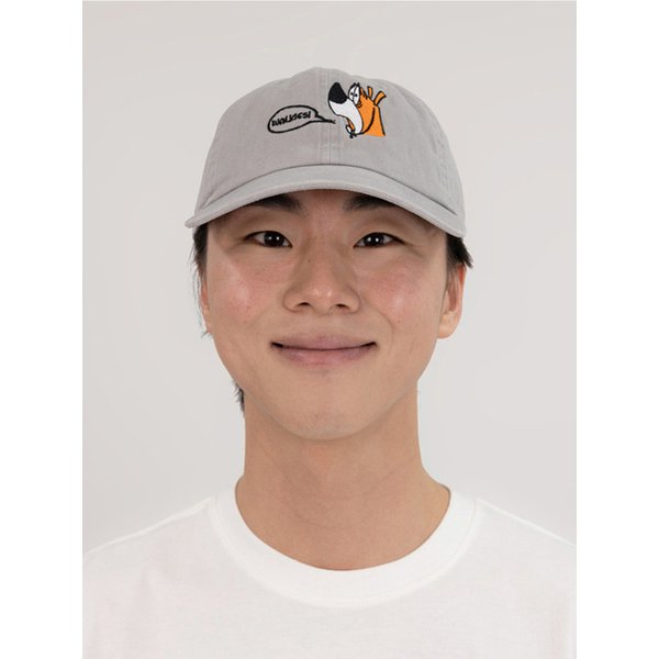 CALIFORNIA STORE LIMITED COLLAB CAP (GRAY)