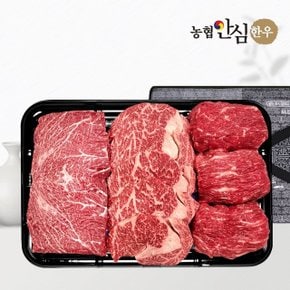 [농협안심한우] 1등급 한우 선물세트 채반 구이정육1호 1kg (등심400g/국거리300g/불고기300g)