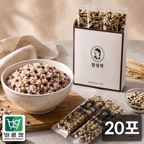 잡곡맛집 전라도 함평댁 찰오색미 간편스틱 소포장 (20g x 20포) 바르겟