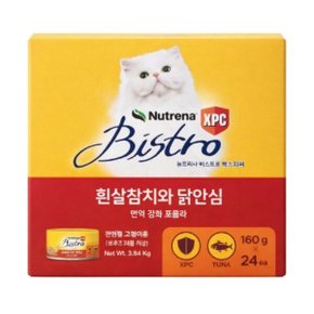 비스트로 애묘용 캔사료 160g x 24 코스트코