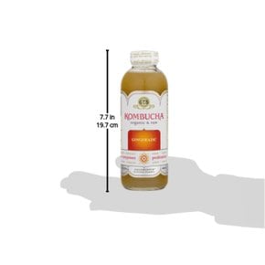 GTsGT`s  Synergy®  콤부차  Organic  Gingerade®