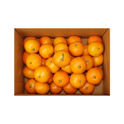 상품이미지4