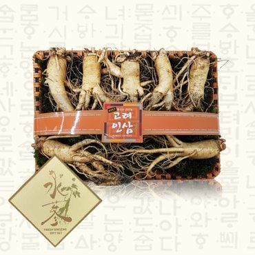 SSG Fresh [바로배송][부여인삼]특선  수삼 선물세트 1kg(7~8뿌리)