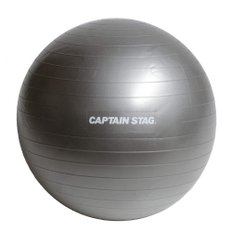 캡틴 스태그(CAPTAIN STAG) Vit Fit UR-863  운동 피트니스 체간 트레이닝 피트니스 볼 Φ65cm