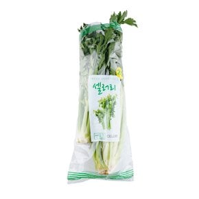 셀러리 2입(봉)