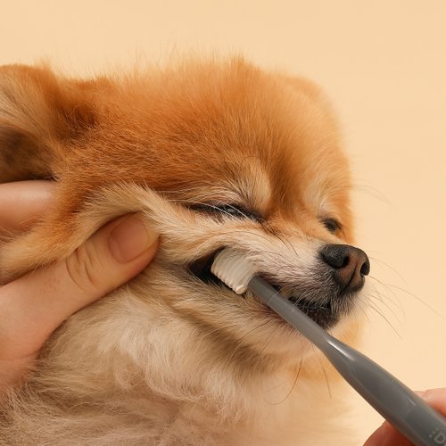 상품이미지2
