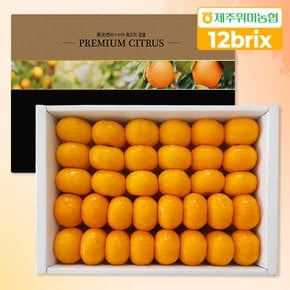 [제주위미농협] 당도선별 12brix 프리미엄 하우스감귤 3kg