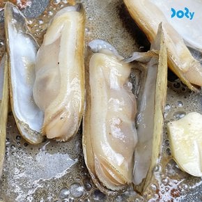 [도리마켓] 국내산 제철 별미 별량 맛조개 1kg (40-60미)