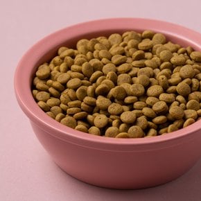 밥이보약 CAT No스트레스 6.5kg