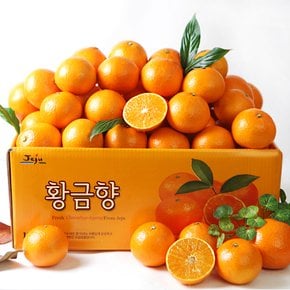 새콤달콤 제주 황금향 1kg 소과(7-8과 내외) 가정용