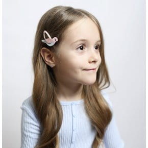 Parrot Hair Clips
