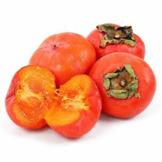 청도반시 5kg (소/46-50과)