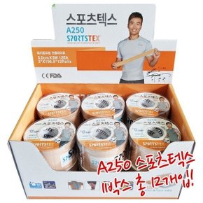 스포츠텍스 A250 근육 테이프 12개 키네시오 스포츠 테이핑