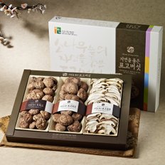 혼합버섯세트2호(흑화고120g+동고130g+표고절편80g)