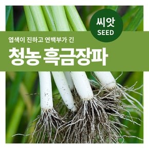 청농 흑금장파 채소 씨앗  2000립