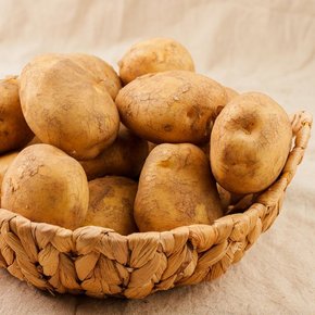 국내산 설봉감자  대 5kg