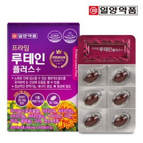 프라임 루테인 플러스 500mg x 30캡슐 3박스 (총 3개월분)