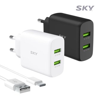 2. 스카이 필 Q2..