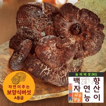  [백향송이]자연향가득 자연산A등급 냉동 능이버섯 2kg