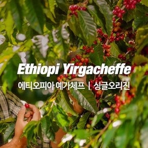 1kg 에티오피아 예가체프 원두커피