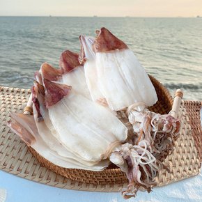 A급 마른 한치(대) 500g 7~10마리 무료배송 건한치 반건조한치