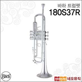 180S37R 트럼펫 /Bach Stradivarius Bb 실버/바흐