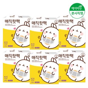 몰랑이 매직 생리 핫팩/찜질팩 2Px6팩