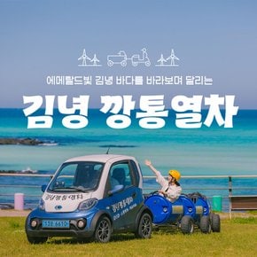 제주 김녕 깡통열차 이용권