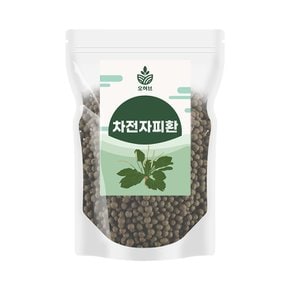 차전자피환 질경이껍질환 1kg(250gx4) 차전차피환 실리엄허스크