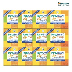 [대용량] 히말라야 숙취해소제 파티스마트 망고 10개입 12박스