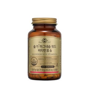 마그네슘 위드 비타민B6 (320/하루3알)