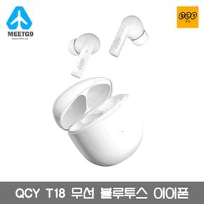 [해외직구]   QCY T18 업그레이드형 블루투스 이어폰  /  무료배송