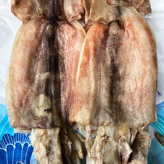  동해안 햇 반건조오징어 10마리(중) 1.2kg 오징어구이