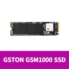 젬스톤 GSTON GSM1000 NVMe M2 SSD 256GB