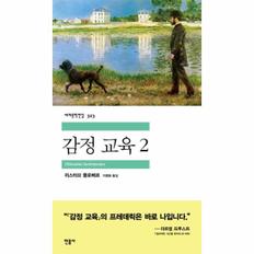 감정 교육 2  - 민음사 세계문학전집 323