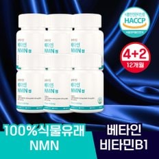 식물성 베타인 NMN 엔앰엔 60정 4+2개 12개월분 브로콜리 추출물