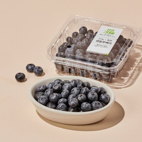 [SSG] 국산 블루베리 200g 팩